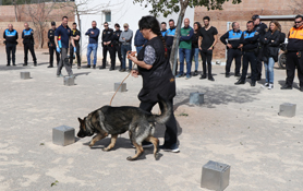 La delegación de Sanidad y Consumo forma a cuerpos de seguridad en intervenciones con animales descontrolados o peligrosos