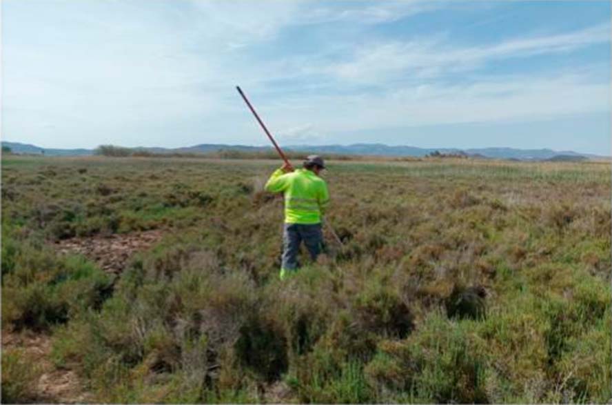 Los resultados del control de mosquitos indican que la situación está equilibrada