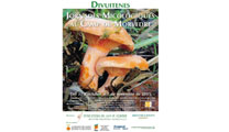 Sagunto acogerá las XVIII Jornadas Micológicas del Camp de Morvedre del 31 de octubre al 7 de noviembre