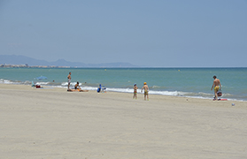 La Asociación de Vecinos de Playas Montiber-Almardà realizará una cadena humana en las playas de Corinto, Malvarrosa y Almardà