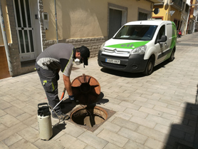 El Ayuntamiento de Sagunto intensifica los tratamientos para eliminar el mosquito tigre 