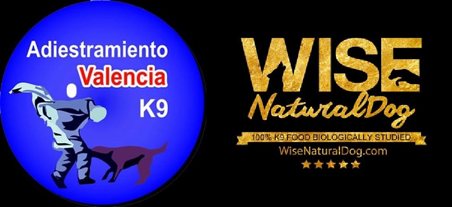 El Ayuntamiento de Sagunto ofrece su ayuda a los colectivos profesionales que trabajan para frenar la crisis sanitaria con el cuidado de sus mascotas