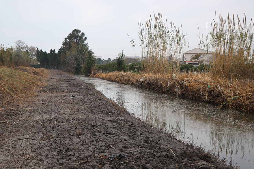 Concluye la primera fase de las tareas de eliminación de cañares en las acequias del Rey y Gabau