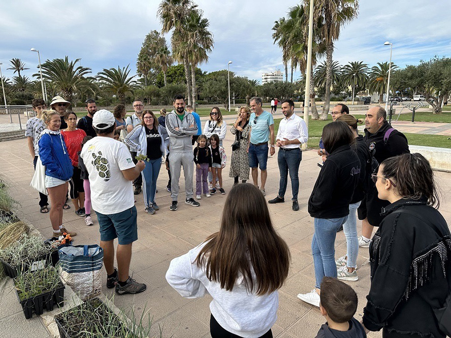 La Colla Verda despide el 2023 con una plantación dunar en la playa de Almardà