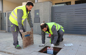 Sagunto inicia la prueba piloto del tratamiento insecticida contra las cucarachas americanas