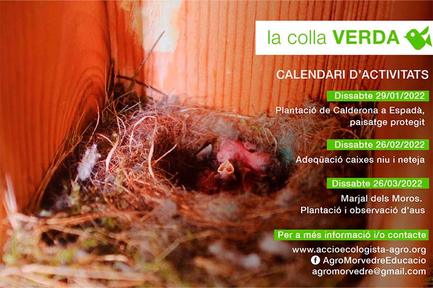 La Colla Verda arranca el invierno con un reivindicativo Día del Árbol