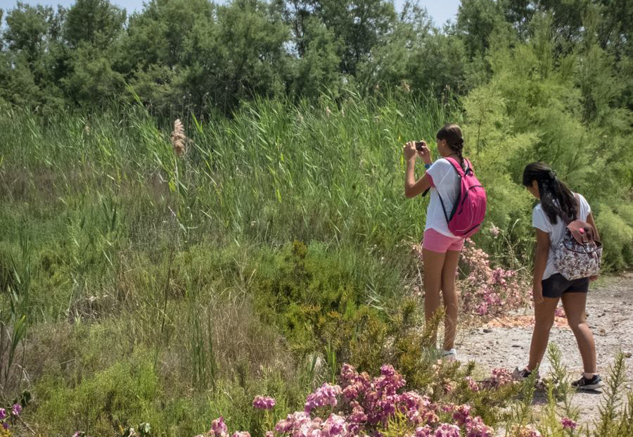 La delegación de Juventud ha organizado la iniciativa lúdica “Estiu Jove a la Casa Penya”
