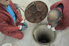 El lunes comienza el tratamiento contra las cucarachas y ratas en la avenida Mediterráneo y adyacentes
