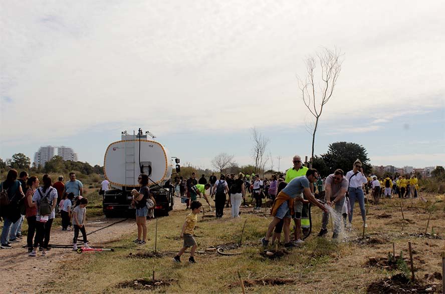 El proyecto de reforestación Menuda Ribera planta 1.200 pinos y arbustos en el Palancia