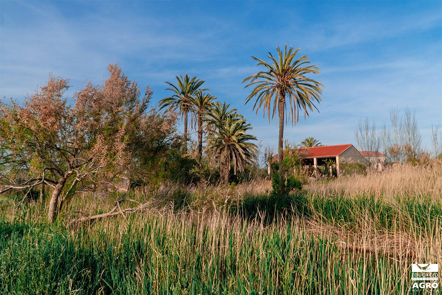 El próximo domingo, 21 de marzo, vuelven las visitas guiadas en La Casa Penya