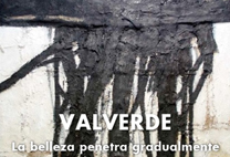 L'exposició “La belleza penetra gradualmente” de Valverde es podrà veure en el Centre Cultural Mario Monreal