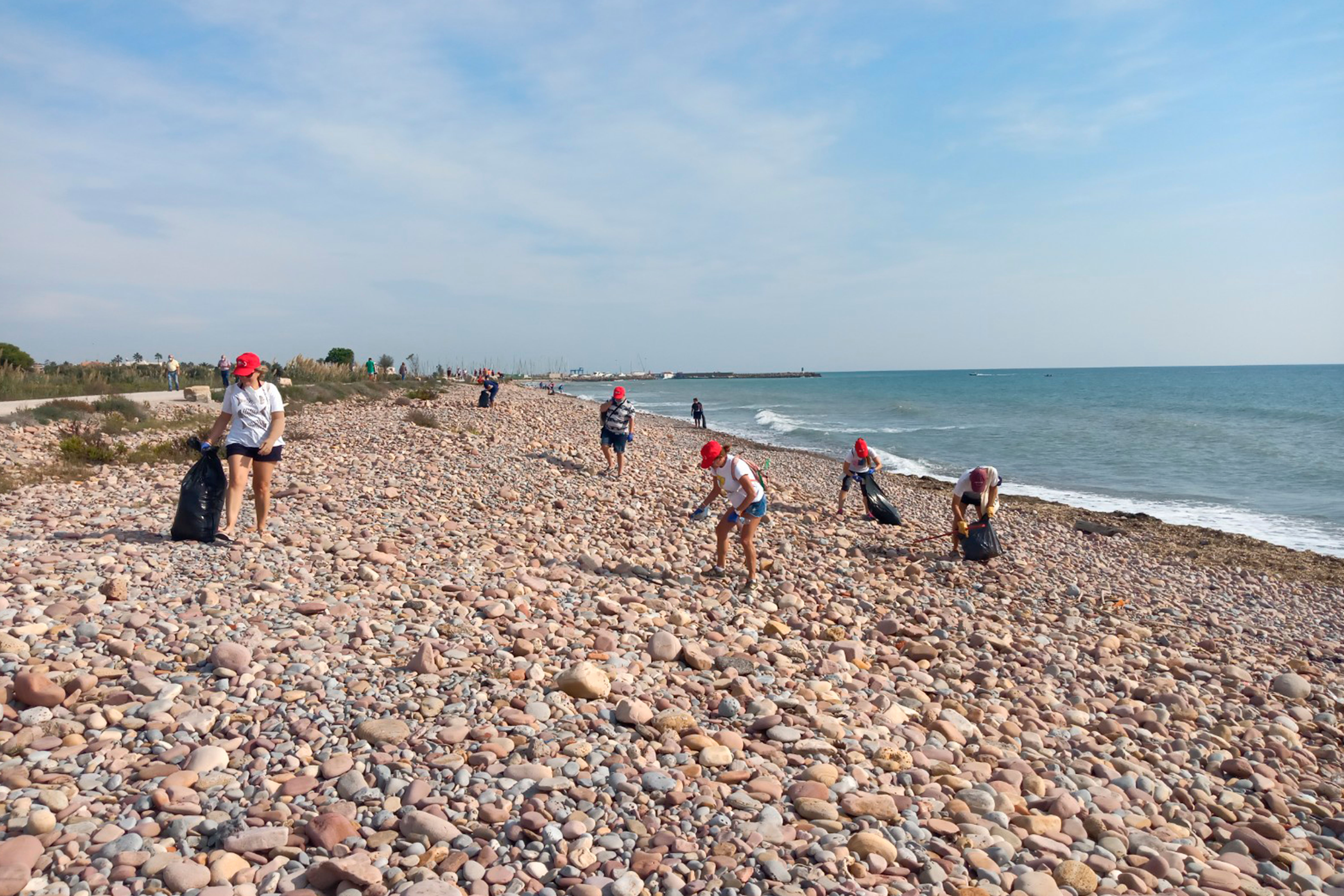 Imagen sin texto alternativo.