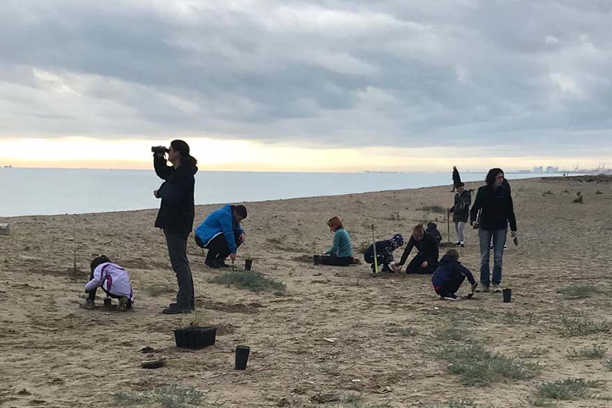 La Colla Verda despide el 2022 con la tercera plantación dunar del otoño