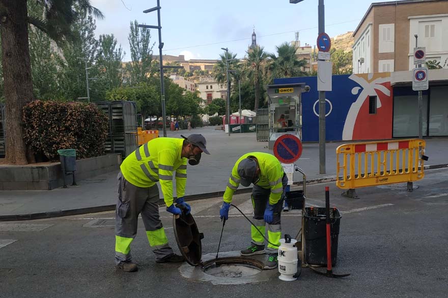 El departamento de Sanidad continúa esta semana con la campaña de desratización y desinsectación