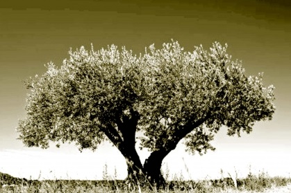 Sagunt a Escena 2016. OFF ROMÀ ofrecerá el jueves “Visitants Olea” una pieza breve de teatro pirotécnico