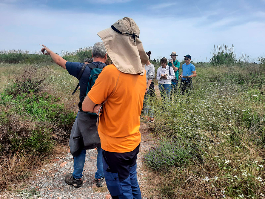 La Colla Verda identifica más de 200 especies de fauna y flora en el río Palancia