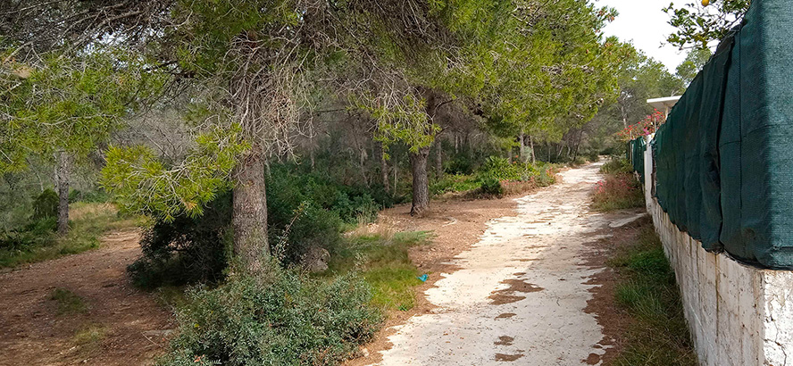 Sagunto creará un área cortafuegos en la zona de la urbanización Codoval para prevenir incendios
