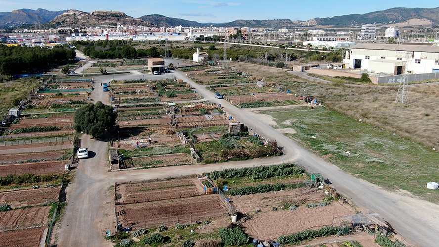 Abierto el plazo de la convocatoria de adjudicación de parcelas en huertos urbanos