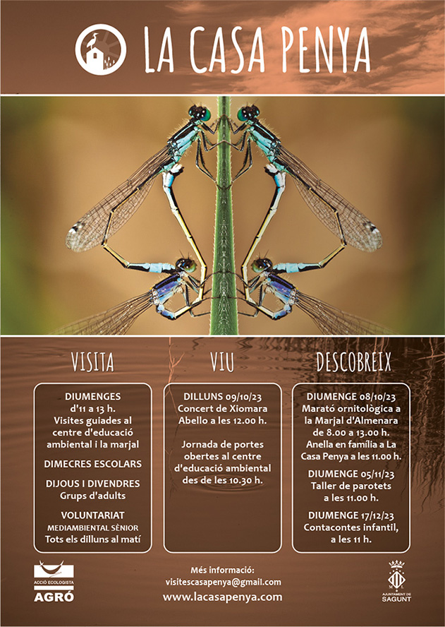 Otoño de aves, libélulas y música en La Casa Penya