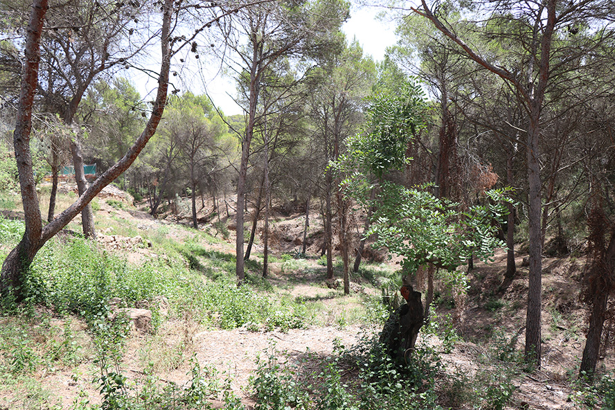 El Ayuntamiento de Sagunto denuncia que la Generalitat incumple su compromiso de establecer en la ciudad una unidad de bomberos estival