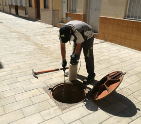 Los tratamientos contra plagas que lleva a cabo la delegación de Sanidad continúan la próxima semana