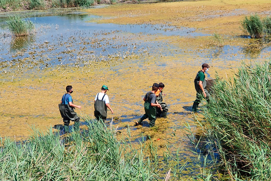 Una nueva promoción de adolescentes descubrió los valores naturales del Marjal de Almardà-Almenara, la playa, el saladar y el Río Palancia