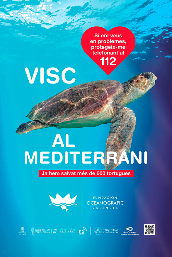 Imagen sin texto alternativo.