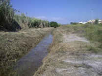 El Consell Agrari de Sagunto dará empleo a 102 personas en el mes de agosto 