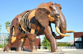 La Casa Municipal de Cultura acoge la exposición ‘Els animals pel món’ de Arsenautas