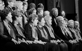 La Unión Musical Porteña ofrecerá conciertos conmemorativos en honor a la patrona de la música Santa Cecilia 