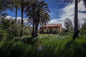 La Casa Penya presenta un nuevo programa de actividades y visitas guiadas para otoño