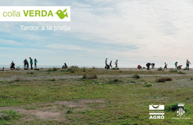 La Colla Verda convoca a la ciudadanía a la tercera plantación de flora dunar