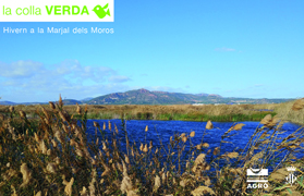 La Colla Verda invernará en el Marjal dels Moros