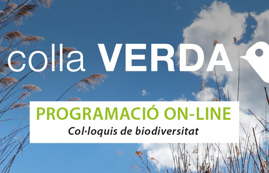 El Ayuntamiento de Sagunto y Acció Ecologista-Agró apuestan por la educación ambiental en línea durante el confinamiento por la COVID-19