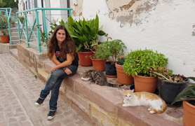 El Ayuntamiento y Colonias Felinas están realizando una campaña de esterilización de gatas urbanas 