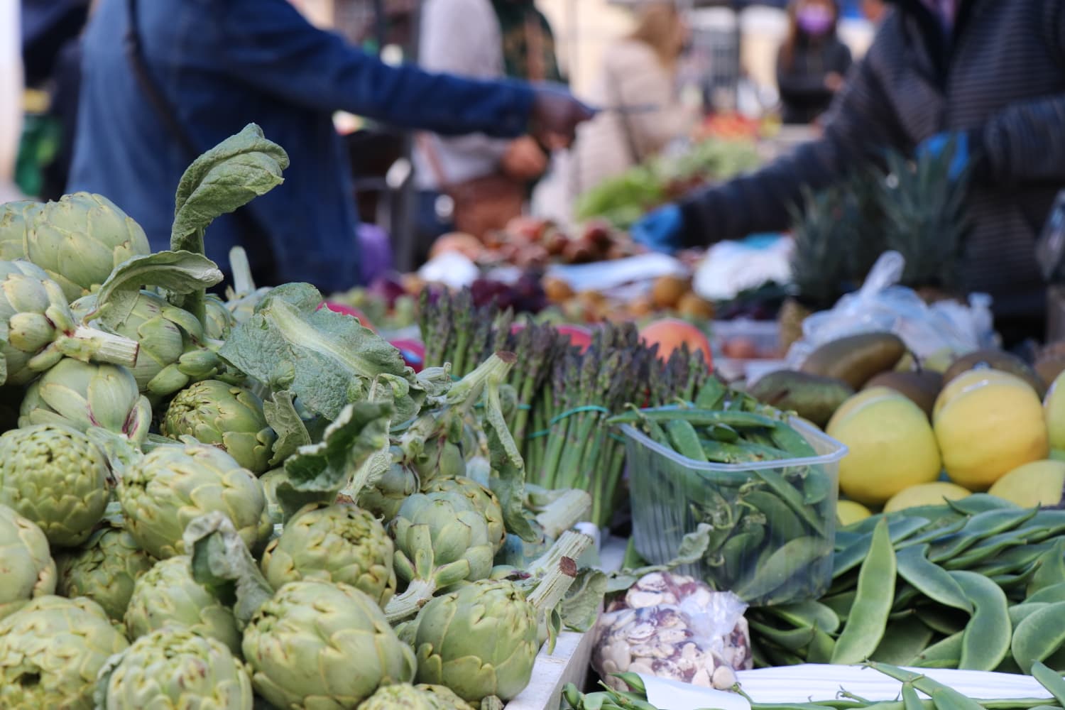 El pleno rechaza el acuerdo entre la Unión Europea y Mercosur por su repercusión sobre el sector agrario valenciano y europeo