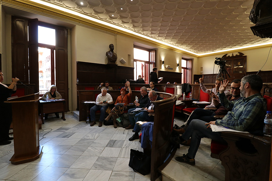 Unanimidad por el Día Mundial del Síndrome de Down