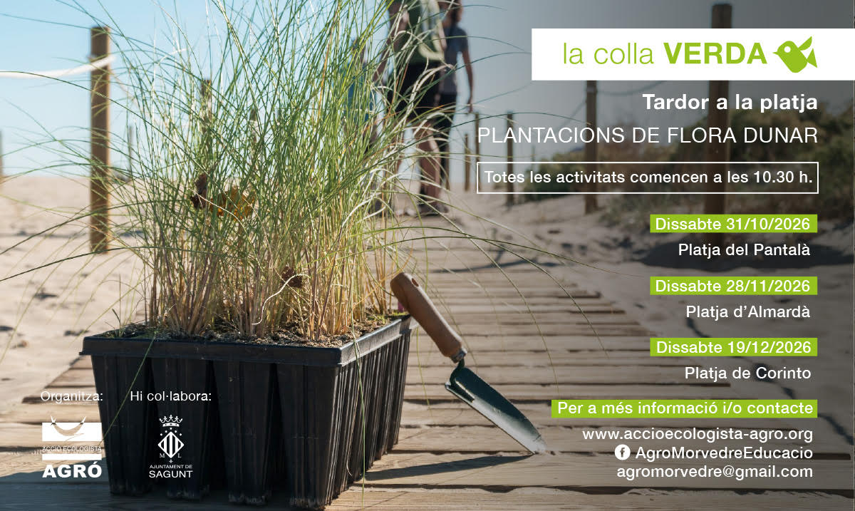Plantación de flora dunar - Acció Ecologista-Agró