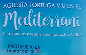 El Ayuntamiento de Sagunto participa en la campaña ‘Tortugas en el Mediterráneo’ de la Fundación Oceanogràfic