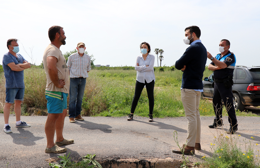 El cultivo de la chufa se ha iniciado de forma experimental en 4 hanegadas del término municipal de Sagunto