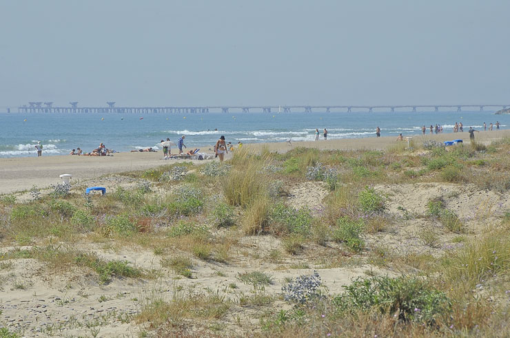 Voluntariado en la playa de Almardà este sábado 25 de junio