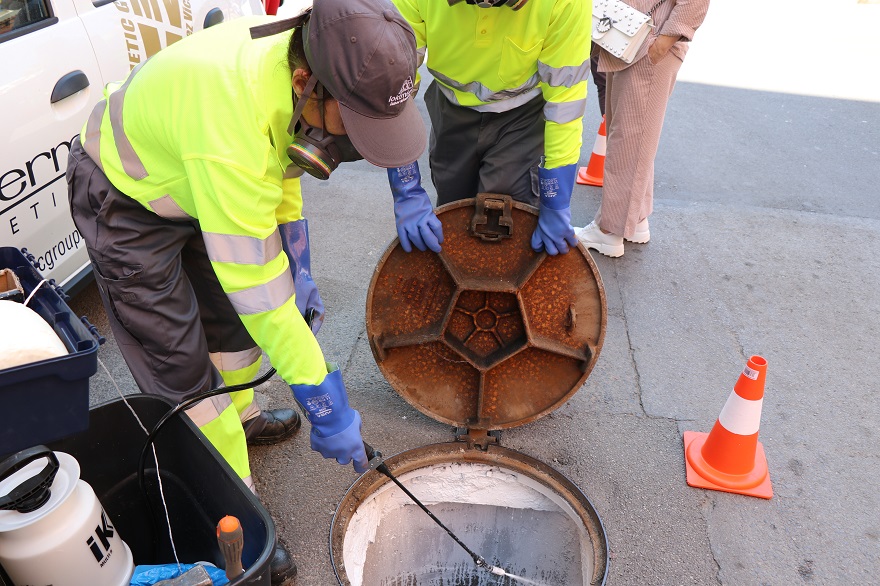 Los tratamientos contra plagas de cucarachas y ratas en el alcantarillado de la ciudad continúan una semana más