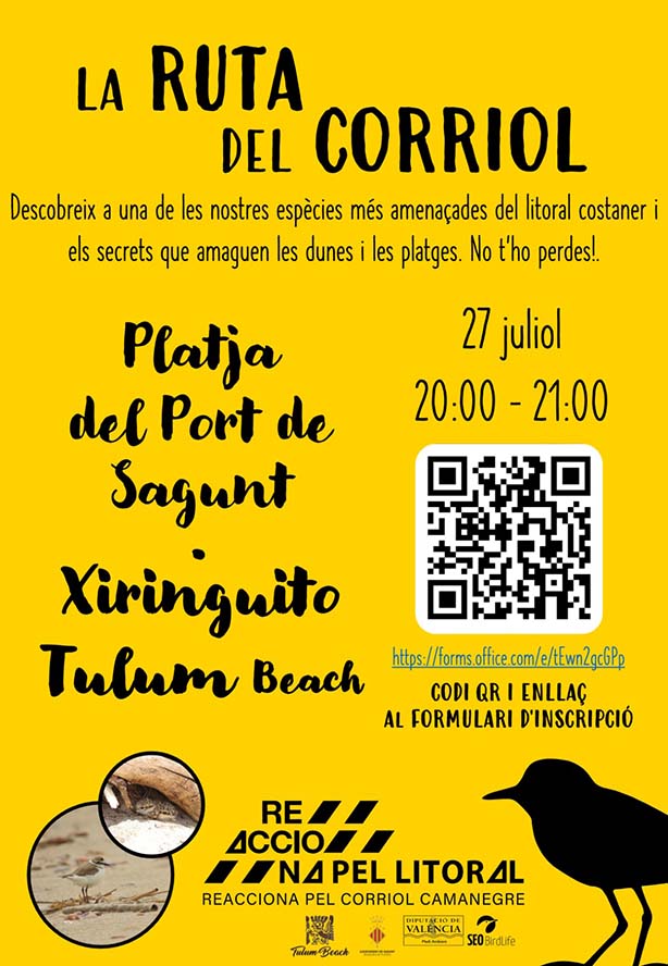 La concejalía de Playas organiza una ruta para conocer al chorlitejo en la playa de Puerto de Sagunto 