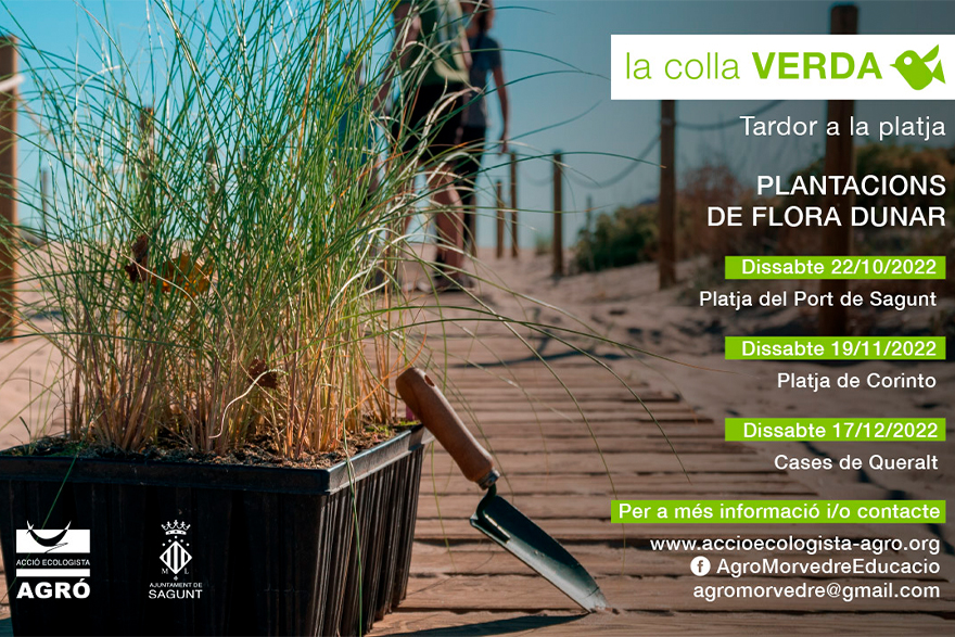 La Colla Verda vuelve de vacaciones para pintar de verde las playas de Sagunto