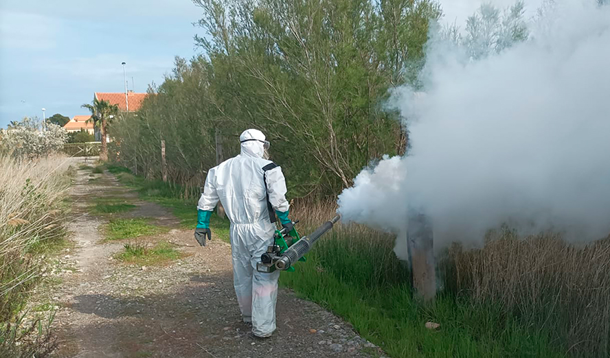Sanidad intensifica el tratamiento para controlar los mosquitos tras el último período de lluvias