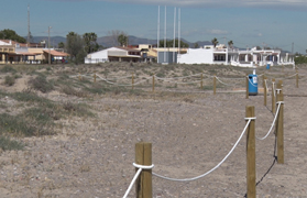 El Ayuntamiento instala cercas en las dunas de Almardà para proteger al chorlitejo patinegro