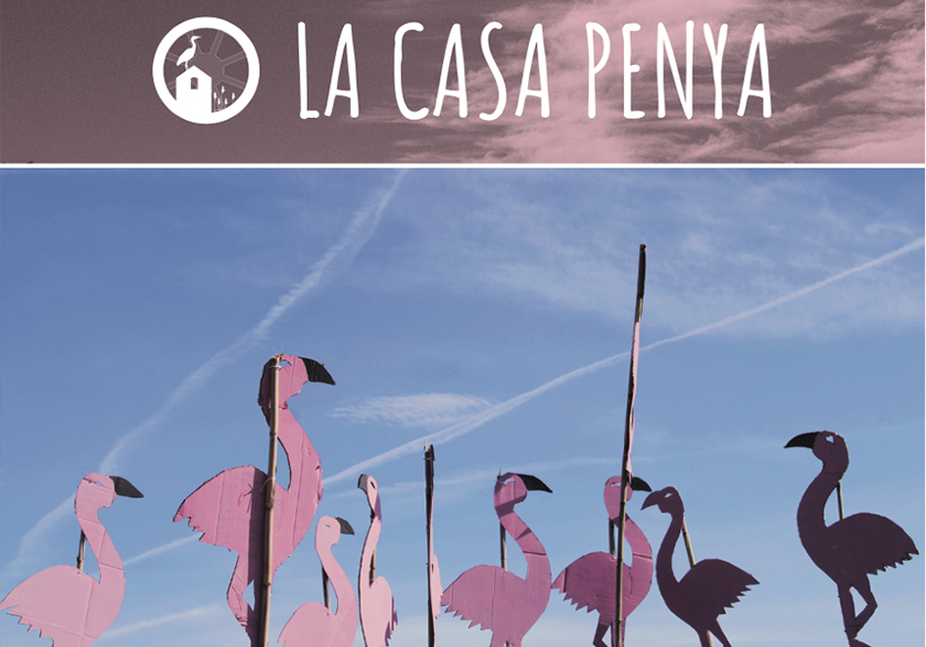 Cuentacuentos, colocación de cajas-nido y visita ornitológicaa en la marjal de Almardà