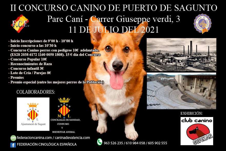 El próximo domingo se celebrará el II Concurso Canino de Puerto de Sagunto