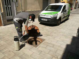 Los trabajos de Control de plagas continúan esta semana con las revisiones y refuerzos en diferentes zonas de la ciudad