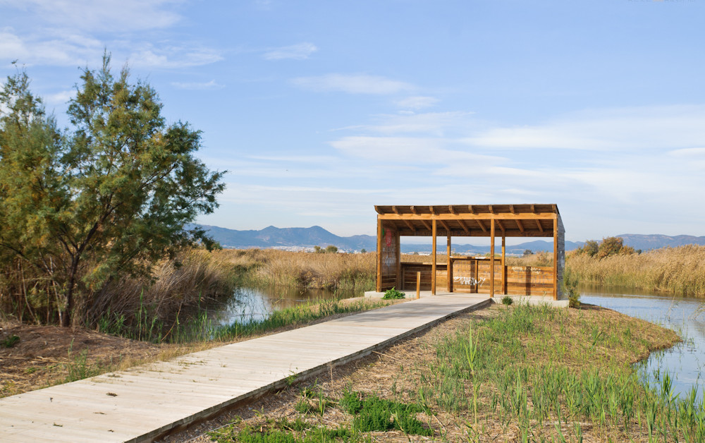 Visita guiada a la Casa Peña para descubrir los tesoros naturales de la Marjal de Almardà